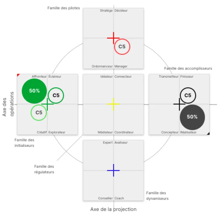 Profil T5™, révélateur des Energy skills™ de Fazila Rialland