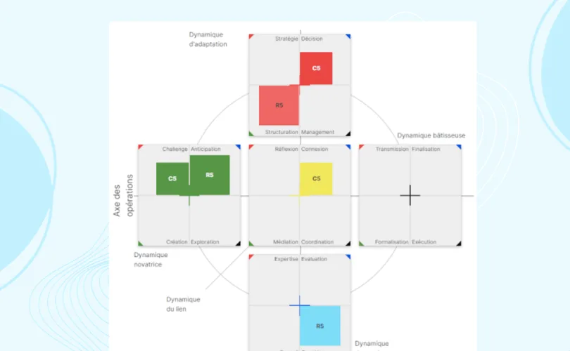 Caractérisation d'un manager qui délègue by map & match