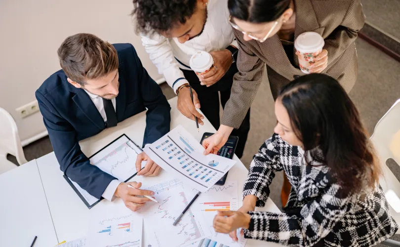 Internal Consultant Team
