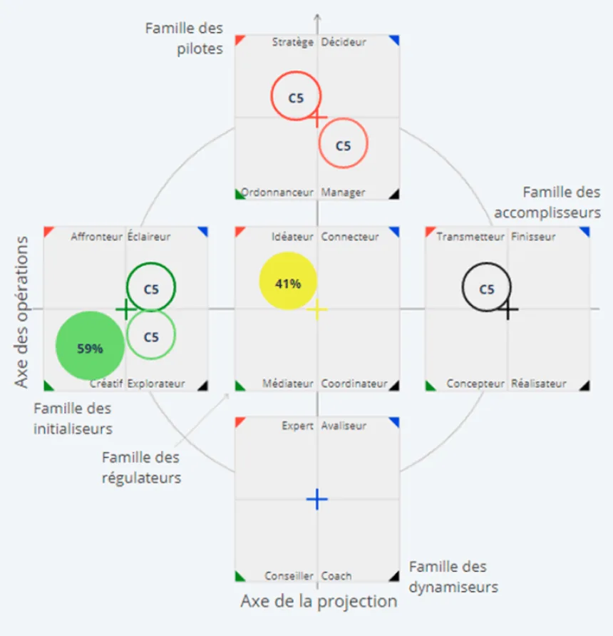 Profil energy skills™ de Frédéric Tomasi